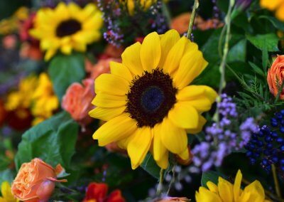 Sonja Sonnenblumen Und Polyrosen